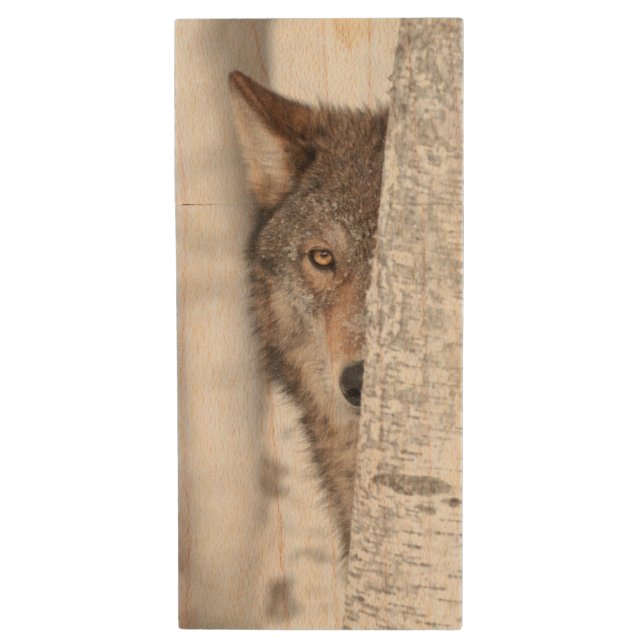 Grey Wolf (Canis lupus) Behind Tree Wood Flash Drive (Front Vertical)