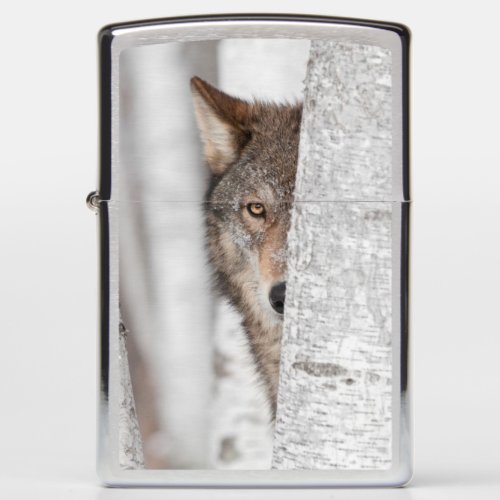 Grey Wolf Canis lupus Behind Tree Zippo Lighter
