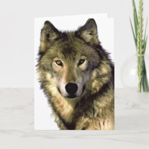 Grey Wolf Card
