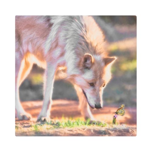 GREY WOLF COLORFUL ENCOUNTER METAL PRINT