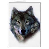 Grey Wolf Eyes (Front)