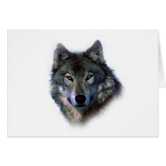 Grey Wolf Eyes (Front Horizontal)