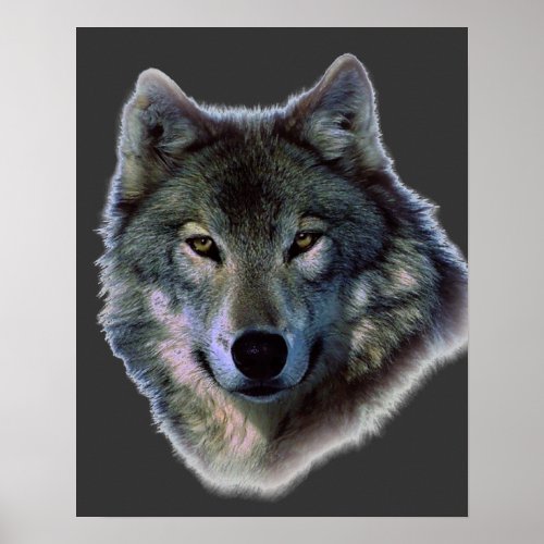 Grey Wolf Eyes Artwork Poster Print