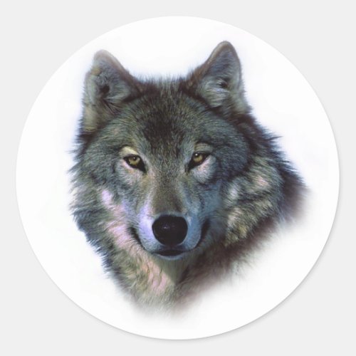 Grey Wolf Eyes Classic Round Sticker
