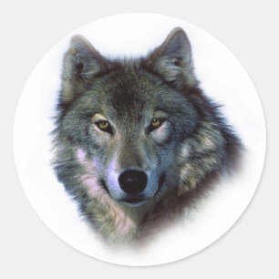 Grey Wolf Eyes Classic Round Sticker