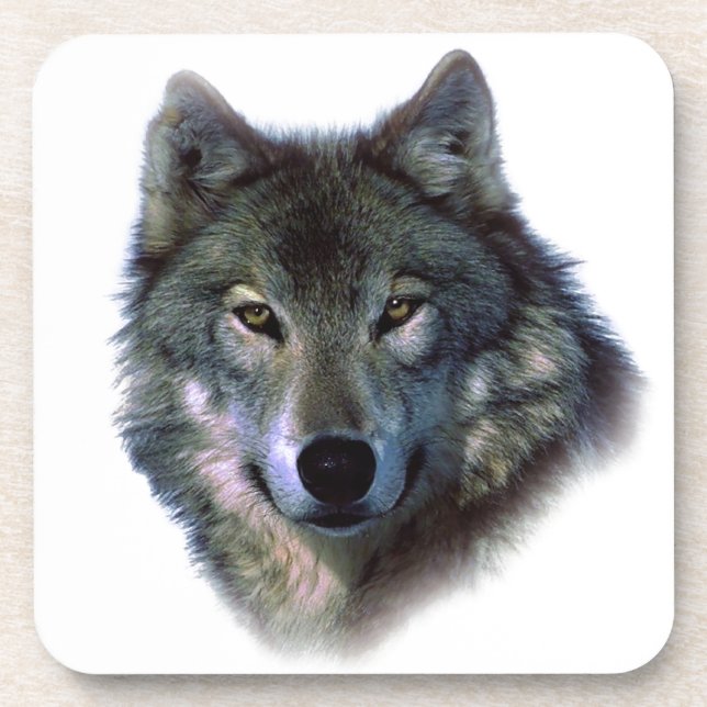 Grey Wolf Eyes Drink Coaster (Front)