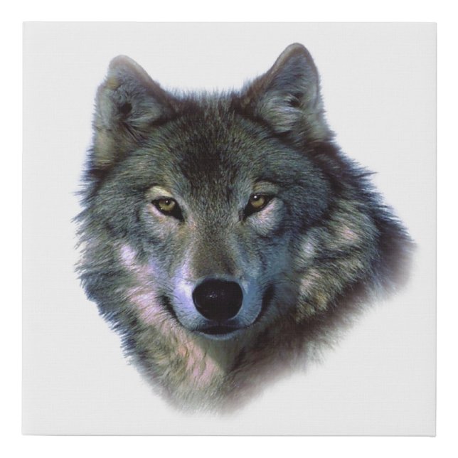 Grey Wolf Eyes Faux Canvas Print (Front)