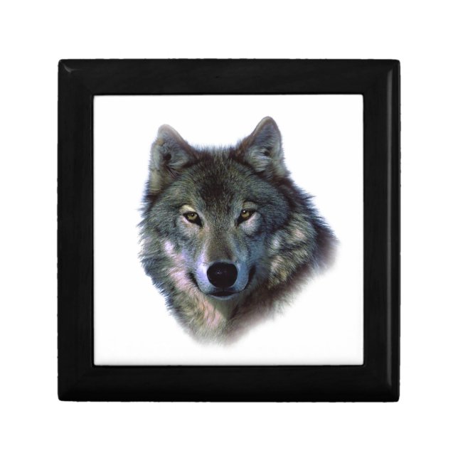 Grey Wolf Eyes Jewelry Box (Front)