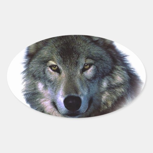 Grey Wolf Eyes Oval Sticker