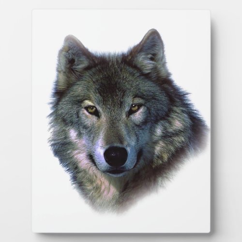 Grey Wolf Eyes Plaque