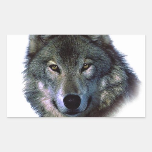 Grey Wolf Eyes Rectangular Sticker