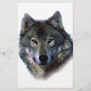 Grey Wolf Eyes Stationery