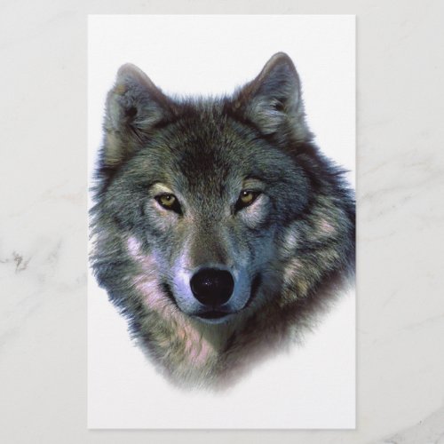 Grey Wolf Eyes Stationery