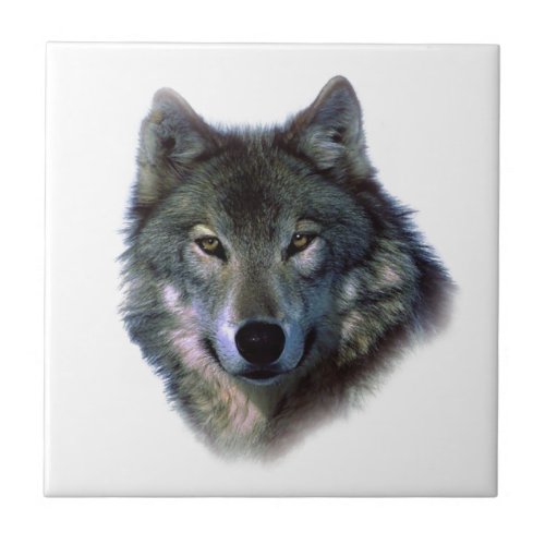 Grey Wolf Eyes Tile