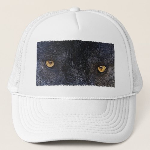 Grey Wolf Eyes Wildlife_lovers Hat