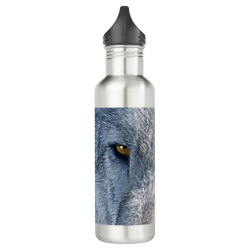 Grey Wolf Eyes Wildlife_lovers Photo Stainless Steel Water Bottle