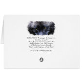GREY WOLF EYES Wildlife Supporter blank card (Back Horizontal)