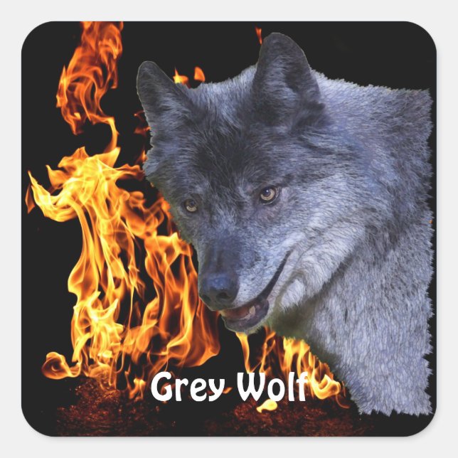 GREY WOLF & FOREST FIRE Wildlife Supporter Square Sticker (Front)