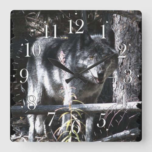 Grey Wolf  Forest Photo Clock