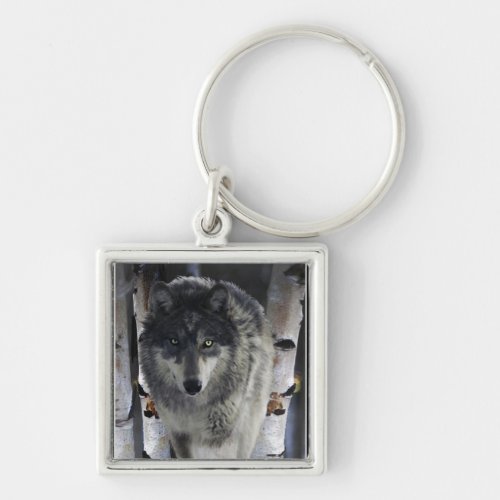 Grey Wolf  Forest Snow Winter Keychain