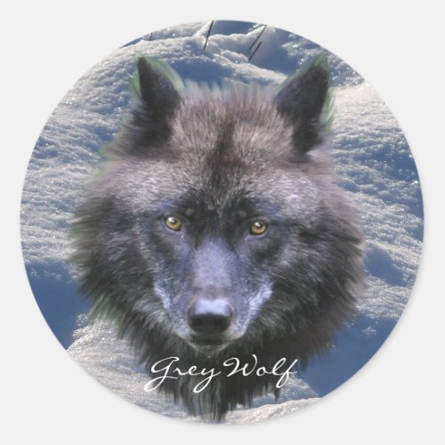 GREY WOLF HEAD  SNOW Wildlife Supporter Stickers