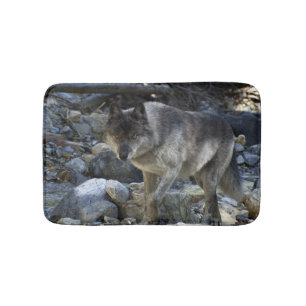 Grey Wolf Hunting in a Dry River Bed Bathroom Mat