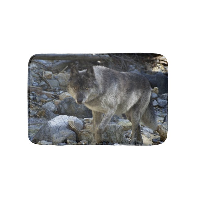 Grey Wolf Hunting in a Dry River Bed Bathroom Mat (Front)