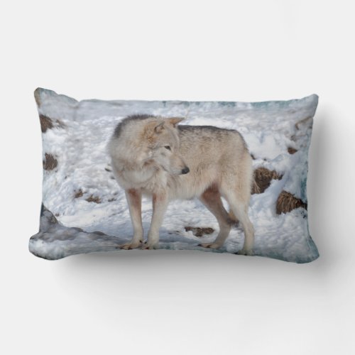 Grey Wolf in Winter Snow Wildlife Photo Lumbar Pillow