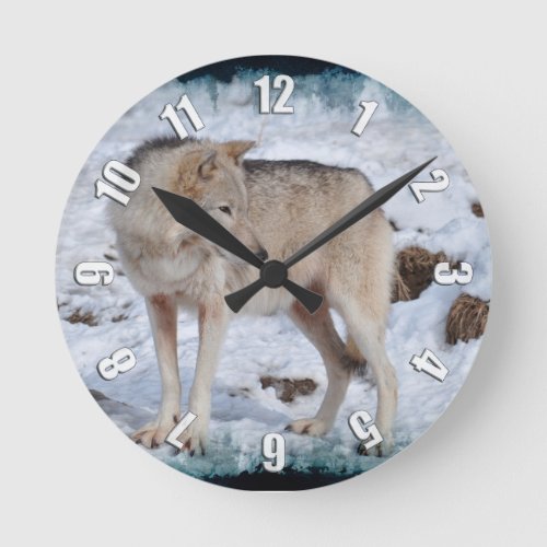 Grey Wolf in Winter Snow Wildlife Photo Round Clock