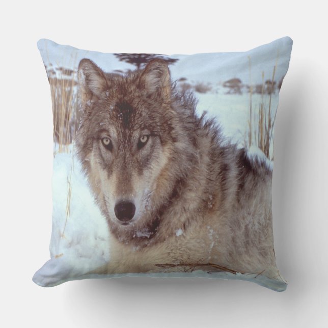 Grey Wolf In Winter Throw Pillow (Front)