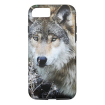 Grey Wolf iPhone 7 case