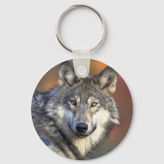 Grey Wolf Key Chain (Front)