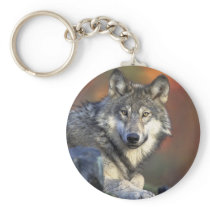 Grey Wolf Keychain