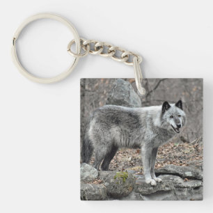 Grey Wolf Keychain