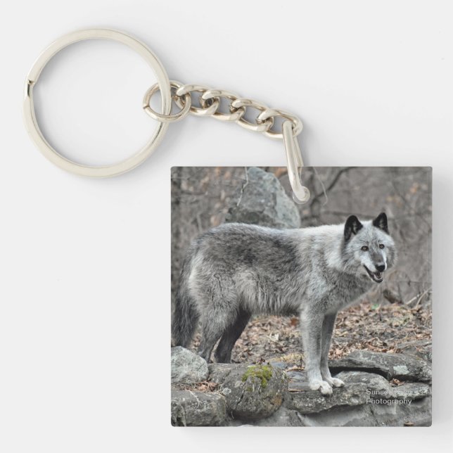 Grey Wolf Keychain (Front)