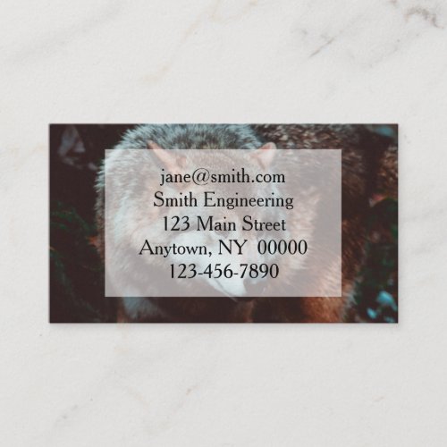 Grey Wolf looking in the forest Business Card