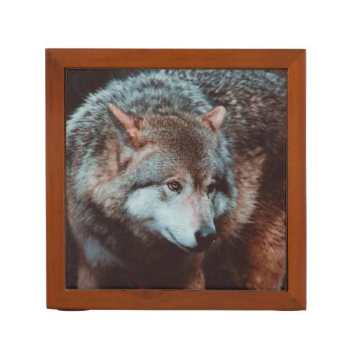 Grey Wolf looking in the forest Desk Organizer