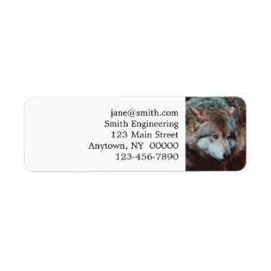 Grey Wolf looking in the forest Label