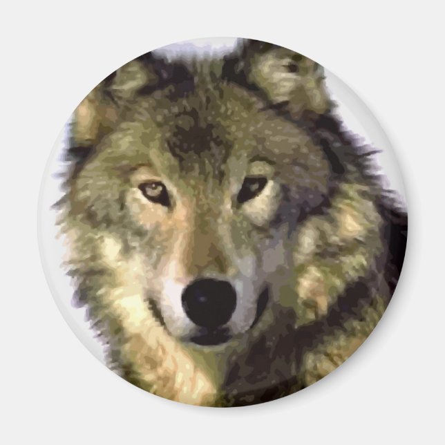 Grey Wolf Magnet (Front)