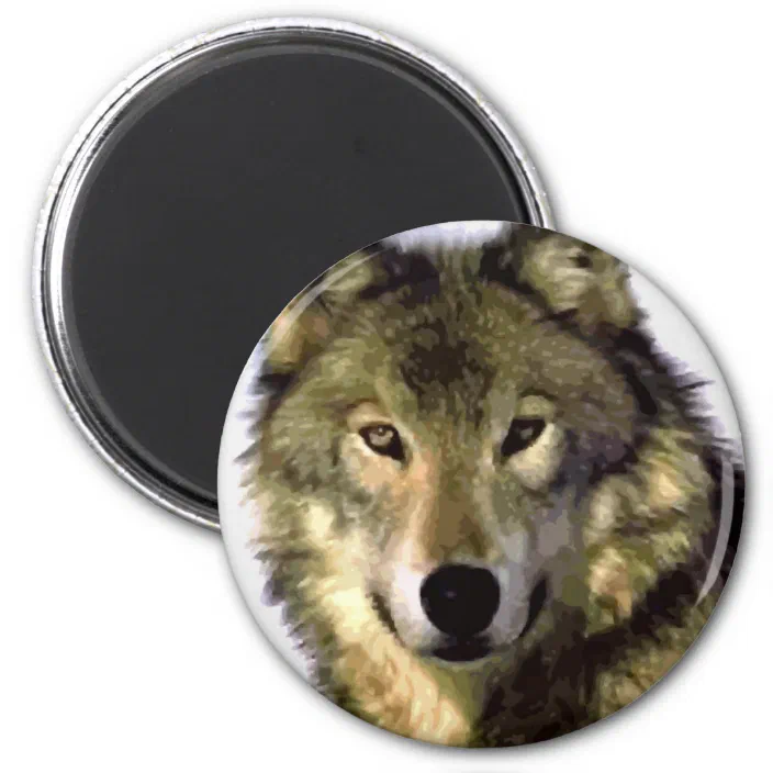 2 WOLF HEAD REFRIGERATOR MAGNETS 31013 button new gray timber wolves magnet 