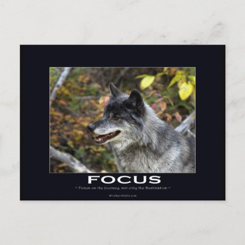 Grey Wolf Motivational Gifts Postcard