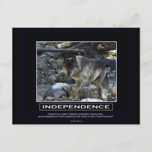 Grey Wolf Motivational Gifts Postcard