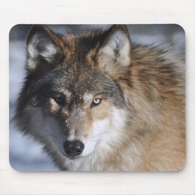 Grey Wolf Mouse Pad (Front)