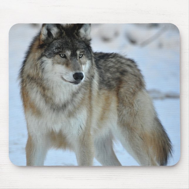 Grey Wolf Mouse Pad (Front)