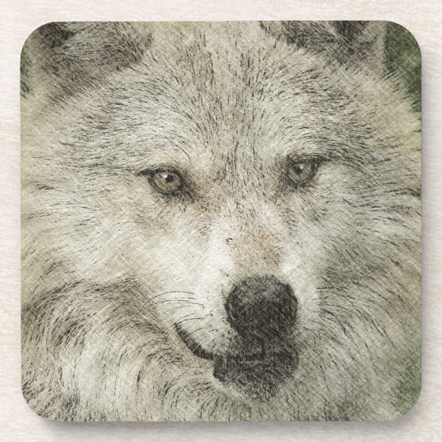Grey Wolf Pencil Sketch Wildlife Art Gift Beverage Coaster (Front)