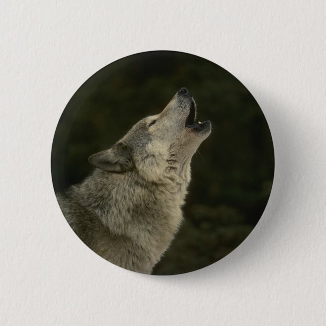 Grey Wolf Pinback Button (Front)