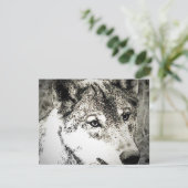 Grey Wolf Portrait (Standing Front)