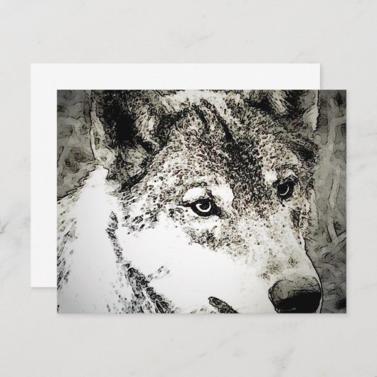Grey Wolf Portrait (Front/Back)