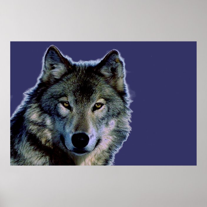 Grey Wolf Poster