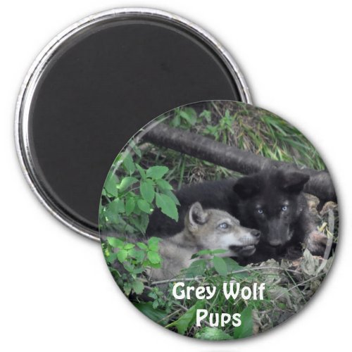 Grey Wolf Pups Wildlife Supporter Photo Magnet